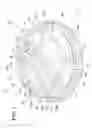 Fig. 02 - Disposable cup lid