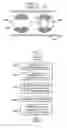 Fig. 03 - Mechanism for ensuring authenticity of written and printed documents