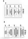 Fig. 10 - Method and system for discovering significant subsets in collection of documents