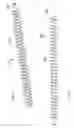 Fig. 11 - Material handling device for vehicle