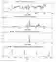 Fig. 09 - Chromatographic and mass spectral date analysis