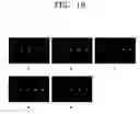Fig. 10 - Device for printing biomolecules on substrate using electrohydrodynamic effect