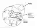 Fig. 01 - Method for decreasing chemical diffusion in parylene and trapping at parylene-to-parylene interfaces