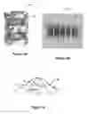 Fig. 06 - Measuring fiber orientation by detecting dispersion of polarized light