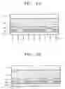 Fig. 10 - Field emission device, display adopting the same and method of manufacturing the same