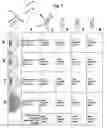 Fig. 02 - Light efficient packaging configurations for LED lamps using high refractive index encapsulants