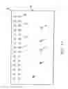Fig. 11 - Stacked modules and method