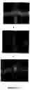 Fig. 25 - Systems and methods for nanowire growth and harvesting