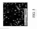Fig. 06 - Method for melt-spinning polymer alloy fiber