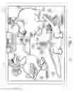 Fig. 03 - Interactive magnetic game board educational system and method