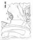 Fig. 24 - Foldable stroller