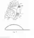 Fig. 09 - Portable support cushion