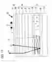 Fig. 13 - Display