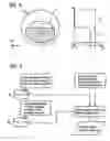 Fig. 03 - Magnetic resonance cylindrical body coil and method for generating a homogeneous RF field