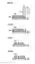 Fig. 08 - Contact probe and method of manufacturing the same and test apparatus and test method