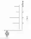 Fig. 05 - Testing apparatus, and testing method