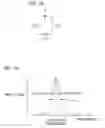 Fig. 13 - Bandpass filter and wireless communications equipment using same