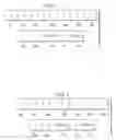 Fig. 02 - Method for generating timing data packet