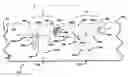 Fig. 01 - Passive self-switching dual band array antenna