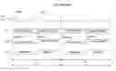 Fig. 01 - Flicker-constrained liquid crystal display