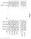 Fig. 06 - Apparatus and method of video signal processing for matrix display apparatus
