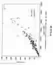 Fig. 08 - Image processing apparatus and image processing method