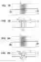 Fig. 06 - Liquid jet head and method for producing the same