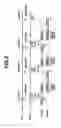 Fig. 03 - Image forming apparatus