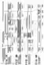 Fig. 05 - Image sensing apparatus for recording a moving image and a still image and its control method