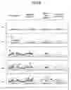 Fig. 03 - Liquid crystal display comprising first and second shielding electrode patterns and manufacturing method thereof