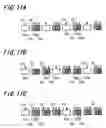 Fig. 10 - Liquid-crystal display apparatus and electronic device