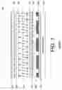 Fig. 02 - Method for manufacturing liquid crystal display devices and devices manufactured thereby
