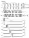 Fig. 17 - Liquid crystal display