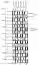 Fig. 18 - Liquid crystal display