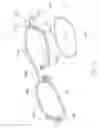 Fig. 11 - Spectacles set with decorative frame