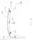 Fig. 16 - Spectacles set with decorative frame