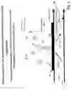 Fig. 06 - Optical structures for metal-enhanced sensing