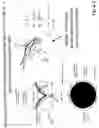 Fig. 09 - Optical structures for metal-enhanced sensing