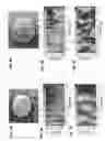Fig. 04 - Systems and methods for a high capture angle, multiple angle light scattering (MALS) instrument