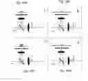 Fig. 13 - Methods and devices for characterizing particles in clear and turbid media