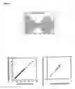 Fig. 04 - Confocal microscope system for real-time simultaneous temporal measurements of metachronal wave period and ciliary beat frequency