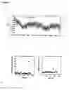 Fig. 05 - Confocal microscope system for real-time simultaneous temporal measurements of metachronal wave period and ciliary beat frequency