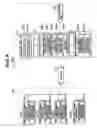 Fig. 09 - Printing apparatus and print system