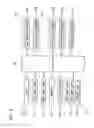 Fig. 07 - Double side image scanner