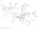 Fig. 01 - Optical system and color wheel thereof
