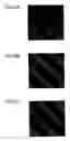 Fig. 20 - Image processing apparatus capable of generating distributable image while maintaining readability and security