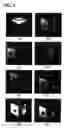Fig. 04 - INTEGRAL THREE-DIMENSIONAL IMAGING WITH DIGITAL RECONSTRUCTION