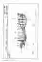 Fig. 06 - Projection objective