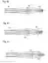 Fig. 19 - Providing optical systems having improved properties to users of catalog (stock) lenses