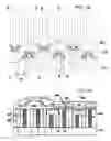 Fig. 13 - Semiconductor superjunction device